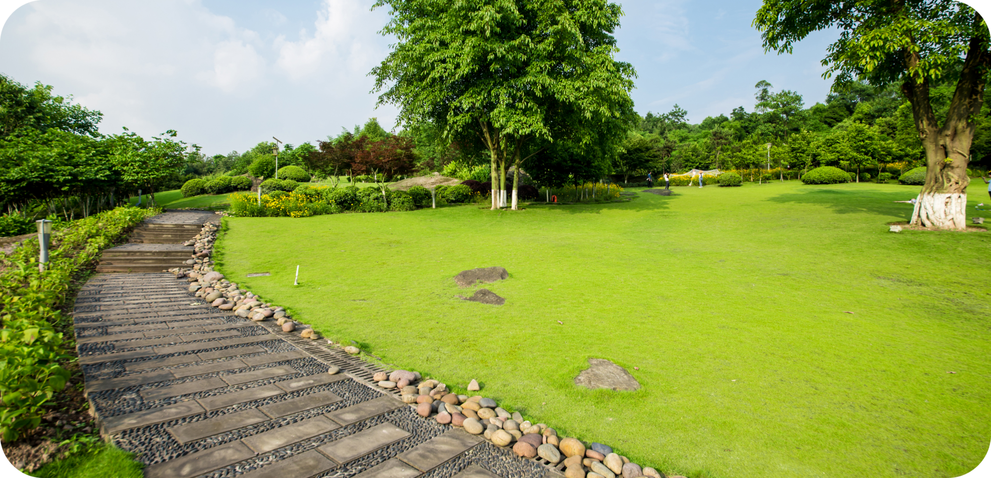 Landscape Video