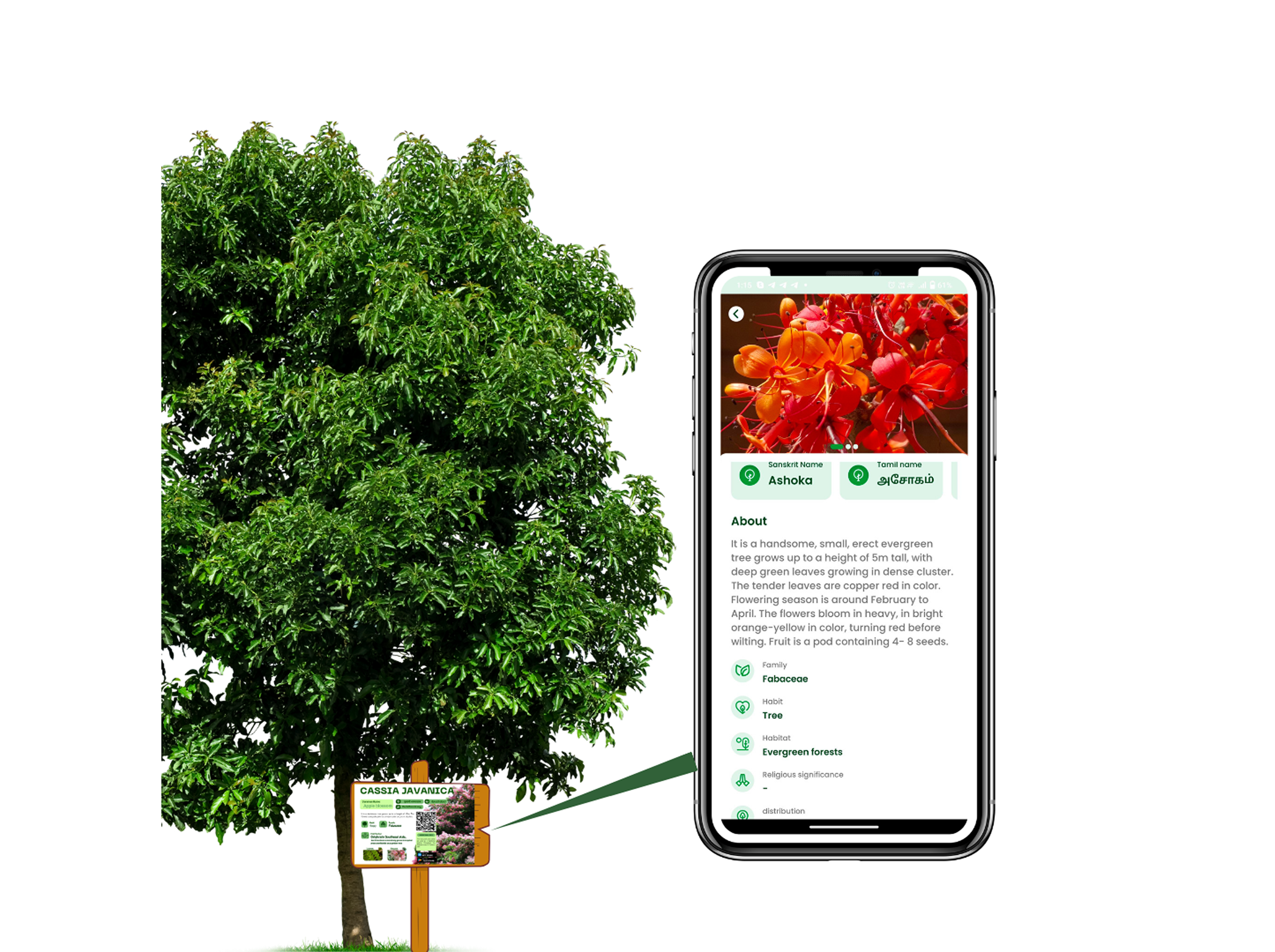 QR Illustration
