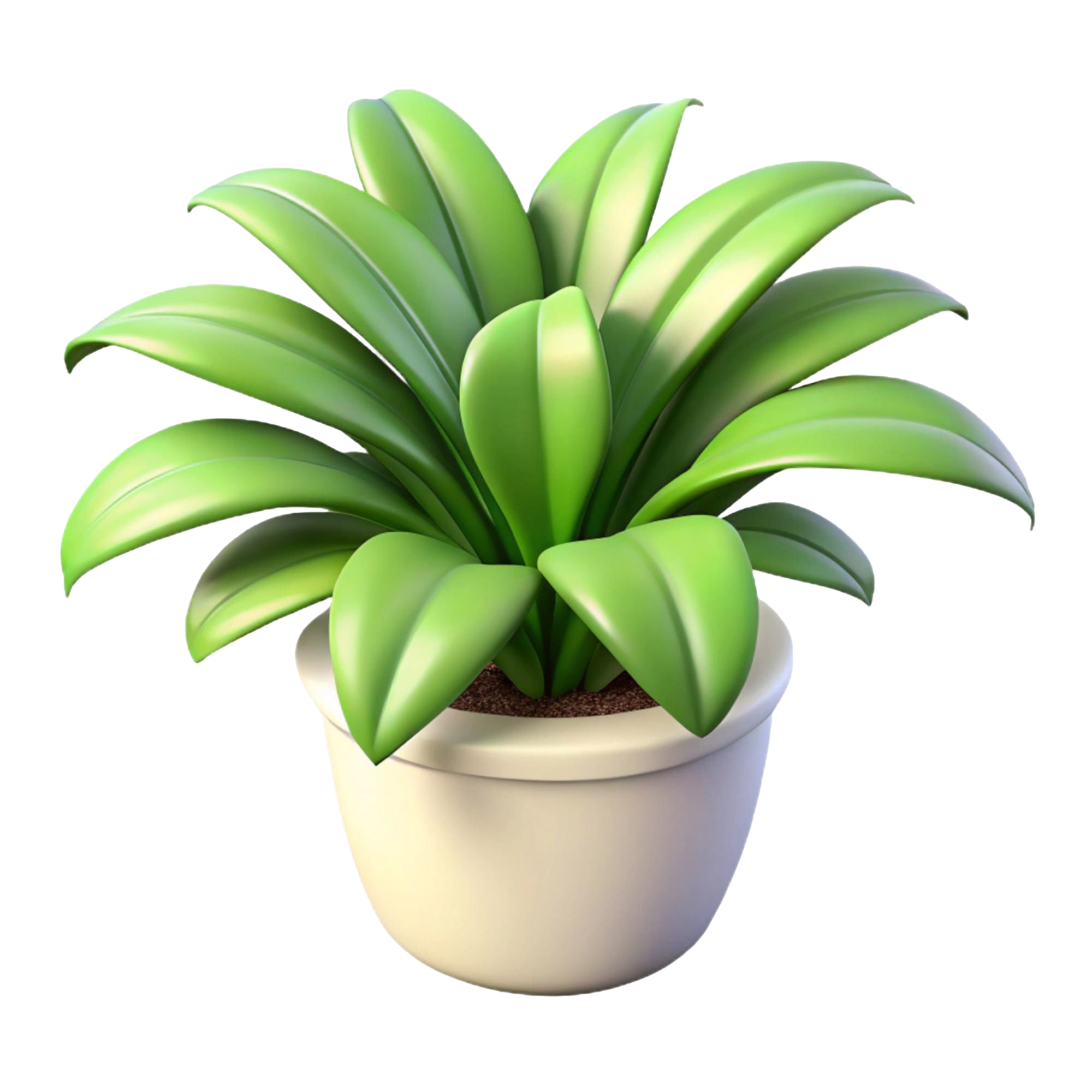 Buy Plants